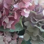 Hotel Balneum Boutique & Bagno di Romagna