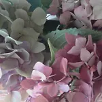 Balneum Boutique & Hotel Bagno di Romagna