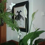 Balneum Boutique &