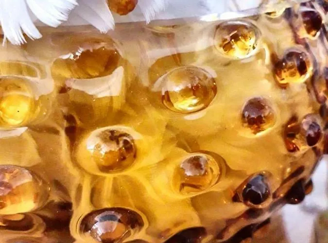 Balneum Boutique & Hotel