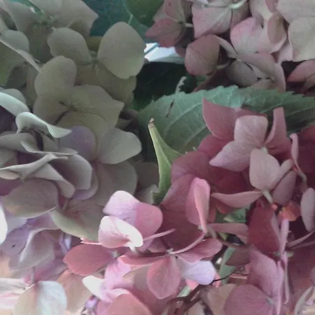 Balneum Boutique & Hotel Bagno di Romagna