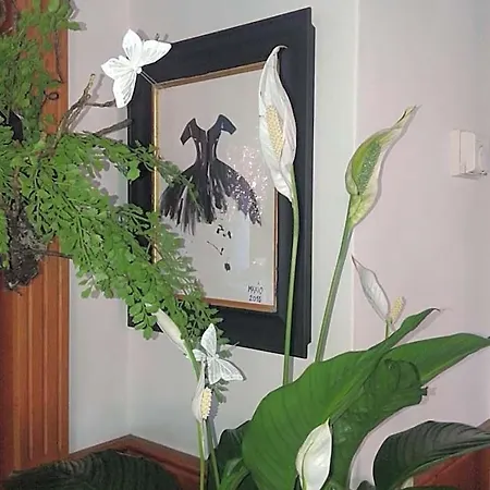 Ξενοδοχείο Balneum Boutique & 3*