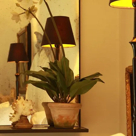 Balneum Boutique &