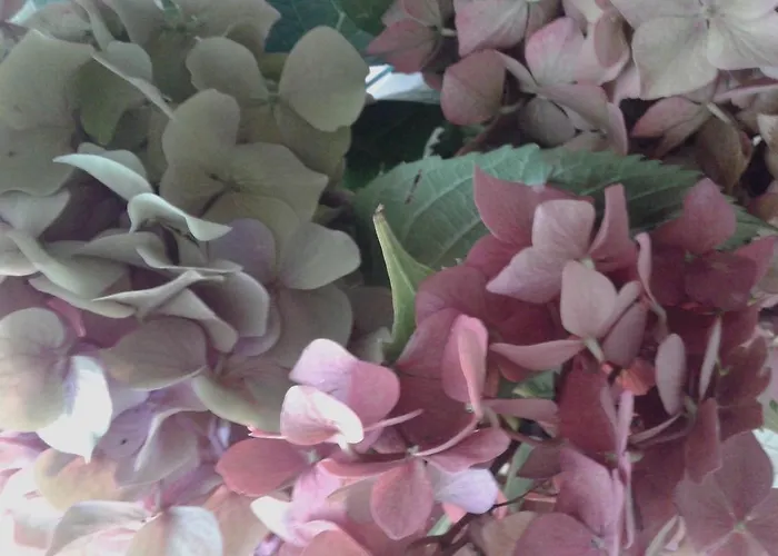 Balneum Boutique & Hotel Bagno di Romagna