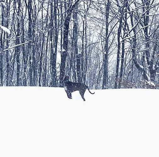 Hotel Balneum Boutique & Bagno di Romagna