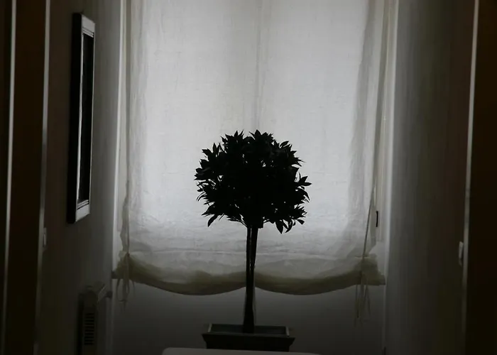 Balneum Boutique & Баньо-ди-Романья