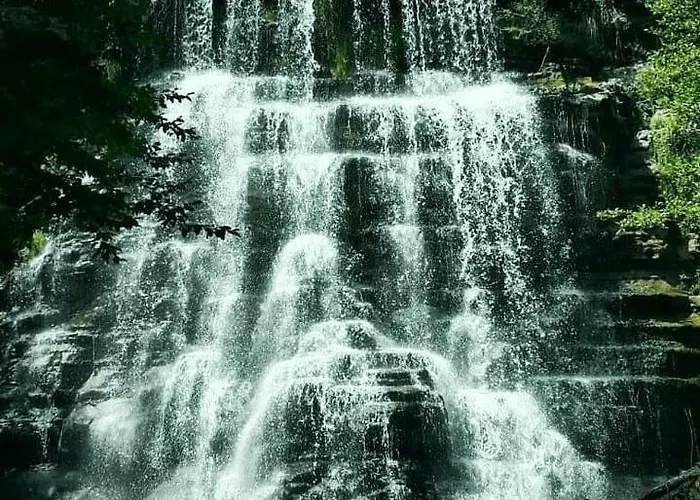 Отель Balneum Boutique & 3*